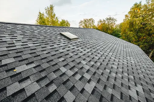 A house with solar panels installed on a metal roof, capturing the sun’s rays to highlight energy efficiency and sustainability.